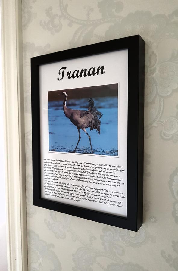 Takern Vandrarhem Svanshals Bagian luar foto