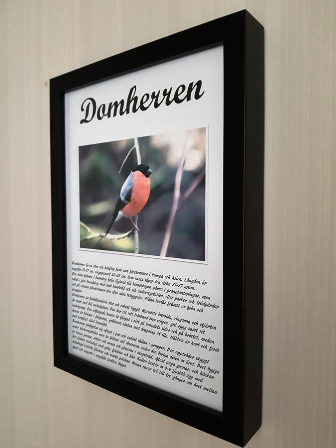 Takern Vandrarhem Svanshals Bagian luar foto