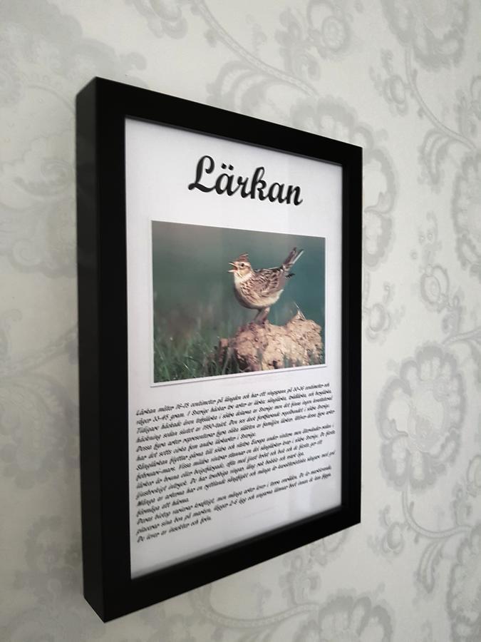 Takern Vandrarhem Svanshals Bagian luar foto