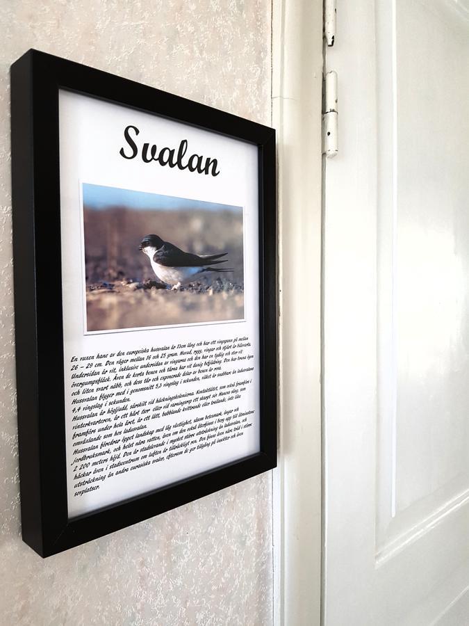 Takern Vandrarhem Svanshals Bagian luar foto